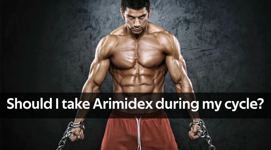 how much arimidex for 600mg test