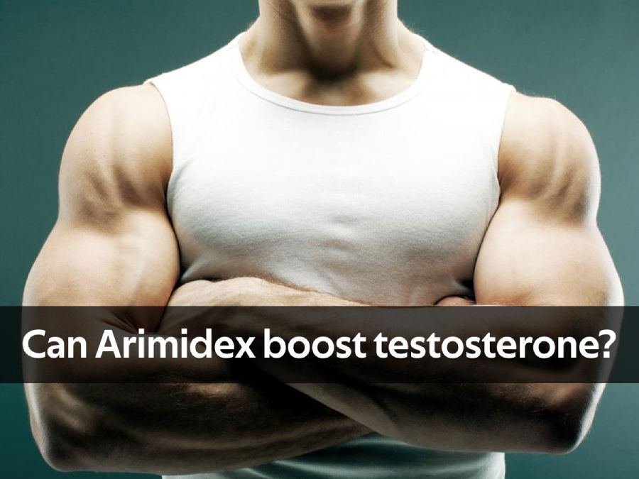 how much arimidex for 600mg test